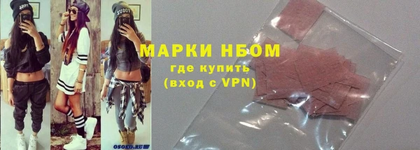 индика Михайлов