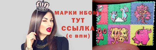 индика Михайлов