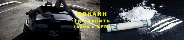 индика Михайлов
