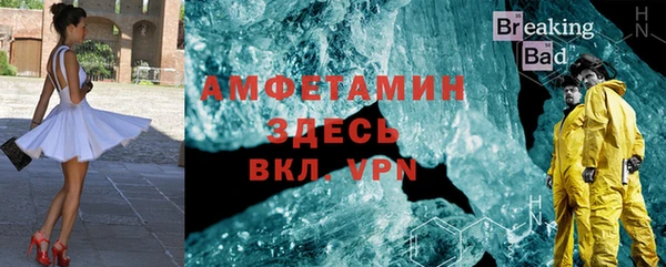 индика Михайлов