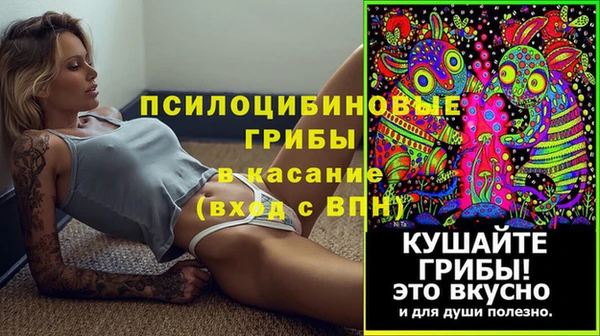 ECSTASY Надым