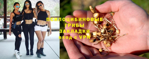 ECSTASY Надым