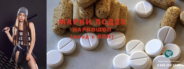 индика Михайлов