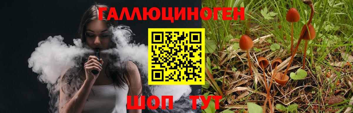 Реутов  Псилоцибиновые грибы Psilocybine cubensis  Вход с VPN 